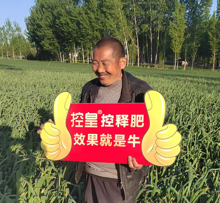 示范田：控皇三头牛郓城县程屯镇